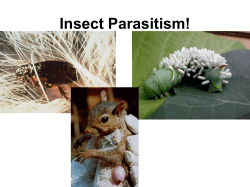Insect Parasitism &ndash; An overview