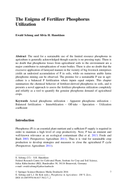 The Enigma of Fertilizer Phosphorus Utilization
