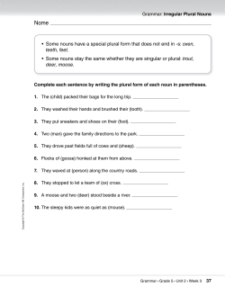 Some nouns have a special plural form that does not