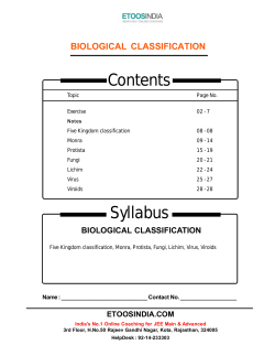 biological classification
