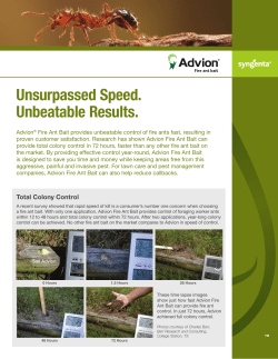 Unsurpassed Speed. Unbeatable Results.