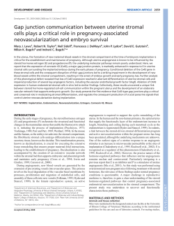 Gap junction communication between uterine stromal cells plays a