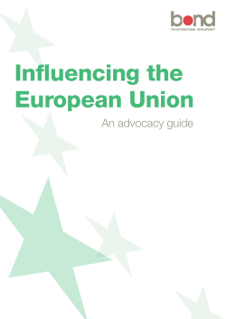 Influencing the European Union