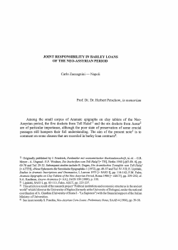 Carlo Zaccagnini - Napoli Prof. Dr. Dr. Herbert Petschow, in