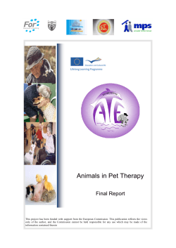 Animals in Pet Therapy