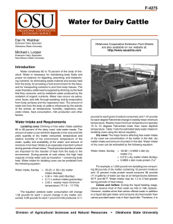 Water for Dairy Cattle