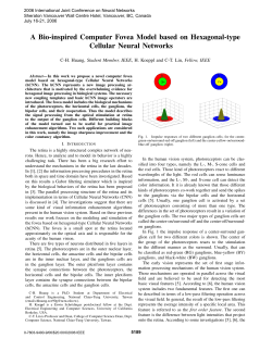 A Bio-inspired Computer Fovea Model based on