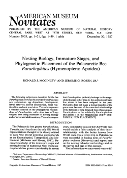 Novitates - AMNH Library Digital Repository
