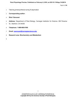 The type II NADPH dehydrogenase facilitates