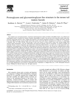 Proteoglycans and glycosaminoglycan fine structure in the mouse