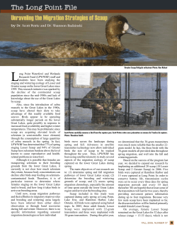 Scaup migration - Bird Studies Canada