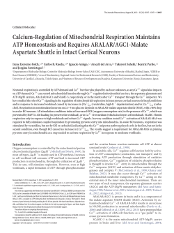 Calcium-Regulation of Mitochondrial Respiration Maintains ATP