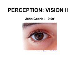 Lecture 6: Vision II