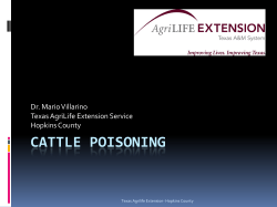 Cattle Poisoning - AgriLife Extension County Offices