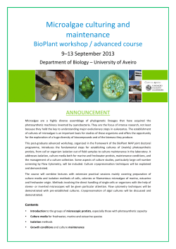 course microalgae culturing