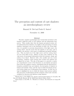 The perception and content of cast shadows: an interdisciplinary