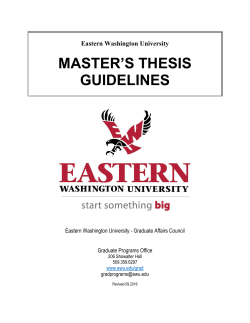 master`s thesis guidelines