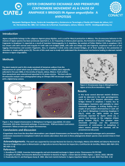 Introduction Methods Conclusions and discussion Results