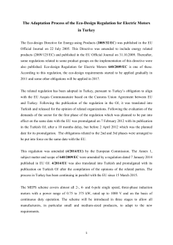 The Adaptation Process of the Eco-Design Regulation for Electric