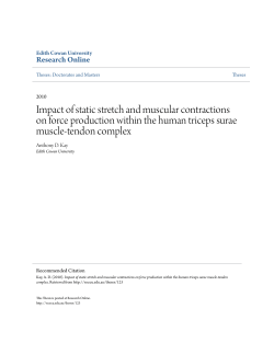 Impact of static stretch and muscular contractions