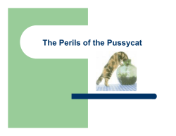 The Perils of the Pussycat - Siamese Cat Rescue Center