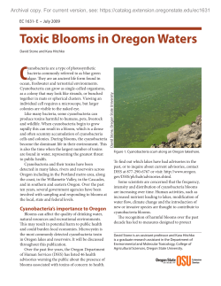 Cyanobacteria - Oregon State University
