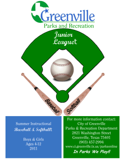 Baseball Softball Flat - City of Greenville, TX