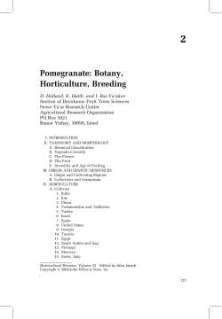 Pomegranate: Botany, Horticulture, Breeding