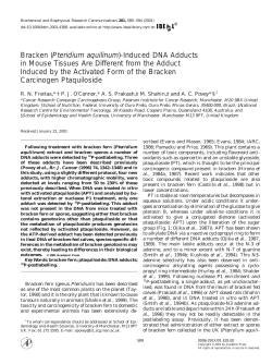 Bracken (Pteridium aquilinum)-Induced DNA