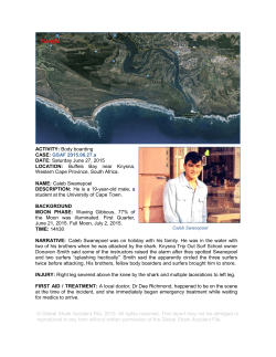 Google - Global Shark Attack File