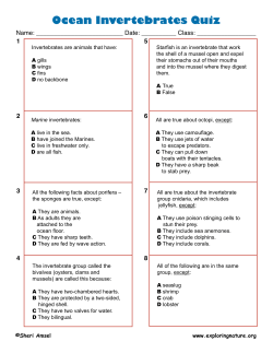 Ocean Invertebrates Quiz