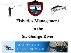 Fisheries Management in the St. George River