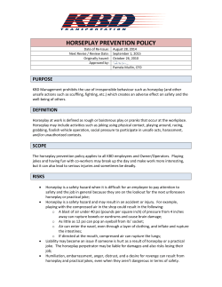 HORSEPLAY PREVENTION POLICY
