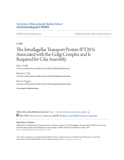 The Intraflagellar Transport Protein IFT20 Is