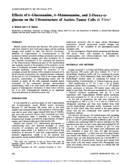 Effects of D-Glucosamine, D-Mannosamine, and