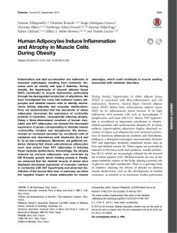 Human Adipocytes Induce Inflammation and Atrophy in Muscle Cells