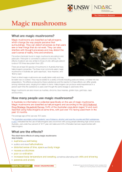 Magic mushrooms - National Drug and Alcohol Research Centre