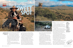 lifestyle - Taste of the Karoo