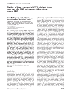 sequential ATP hydrolysis drives assembly of a DNA polymerase