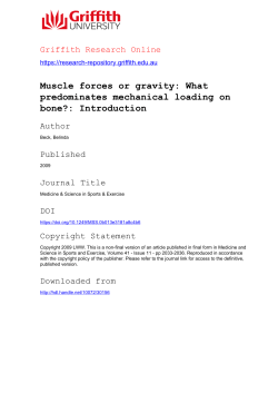Muscle forces or gravity: What predominates mechanical loading on