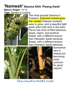 detailed Banana Descriptions PDF.