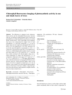 Chlorophyll fluorescence imaging of photosynthetic activity