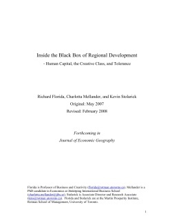 Inside the Black Box of Regional Development