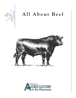 All About Beef - Illinois Ag in the Classroom