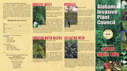Alabama`s 10 Worst Invasive Weeds - SE-EPPC