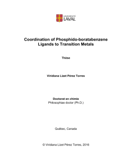 Coordination of Phosphido-boratabenzene Ligands to Transition