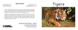 Tigers - Mustard Seed Books