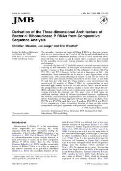 Derivation of the Three-dimensional Architecture of Bacterial