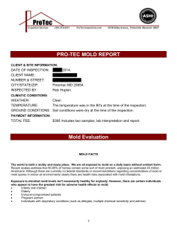 pro-tec mold report - ProTec Inspection Services