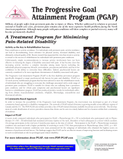 The Progressive Goal Attainment Program (PGAP) - ERGO-Wise